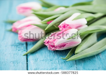 Bouquet of Tulips on turquoise rustic wooden background. Spring flowers. Greeting card for Valentine's Day, Woman's Day and Mother's Day holidays. Soft focus