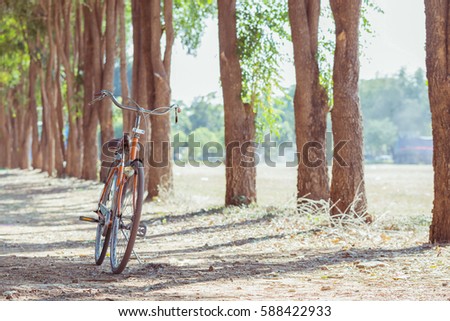 Bicycle in landscape