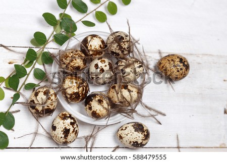 Easter Quail eggs