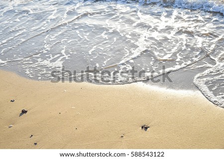 Sea beach sand background.