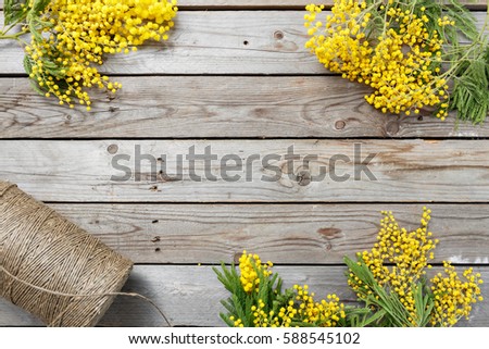 Mimosa flowers on gray wooden background. old wooden table. Copy space for text. twine roll