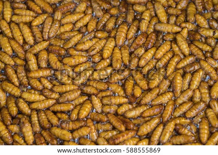 background of fried insect larvae snack