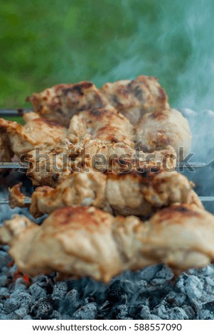 delicious chicken kebab with a ruddy crust on skewers cooked on the coals from the fire in field conditions