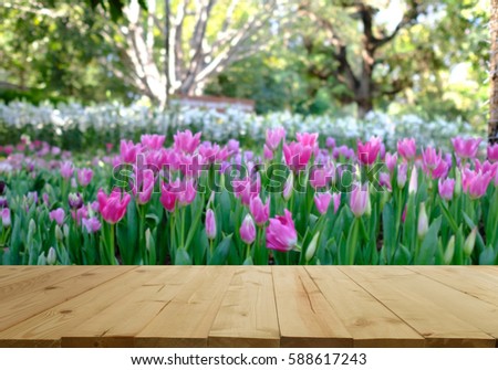 Wood table top on blurred garden of tulips. For product display and advertising and promotional purposes.