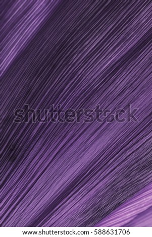 Shallow depth of field captures a textured, curved piece bark from a palm tree. Edited into a purple, plum color for a background. Vertical or horizontal format, flat layout with copy space
