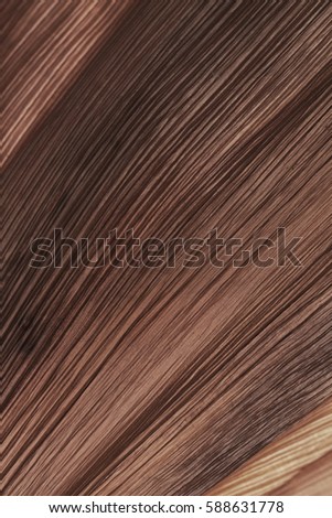 Shallow depth of field captures a textured, curved piece bark from a palm tree. Edited into a chocolate, brown color for a background. Vertical or horizontal format, flat layout with copy space