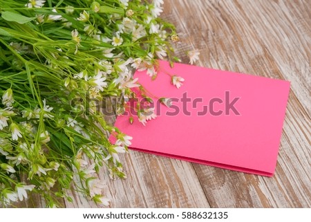 branch of blooming bird-cherry tree. Pink greeting card, blank on shaby wooden background.