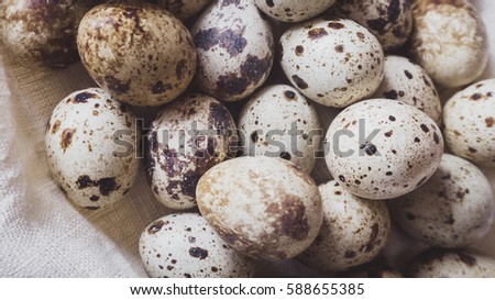 Quail eggs on the linen cloth. Top closeup view