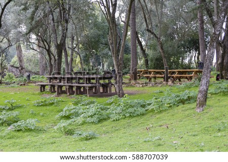 Marechal Carmona Park in Cascais