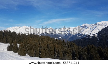 Snowy trees and Mountains in Bright sunshine