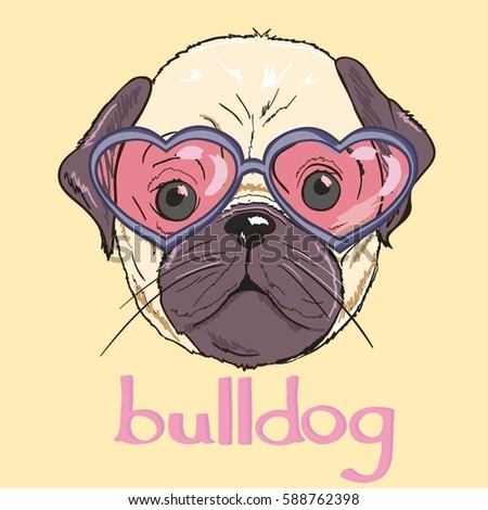 bulldog vector illustration