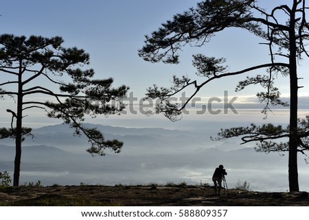 A photographer silhouette is standing between two pine trees on a cliff