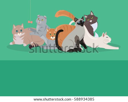 Cat breeds cute pet animal set  web banner. Flat design. Cats in different poses sitting, standing, stretching, playing, lying. For veterinary clinic, pet shop advertising. Collection of kittens