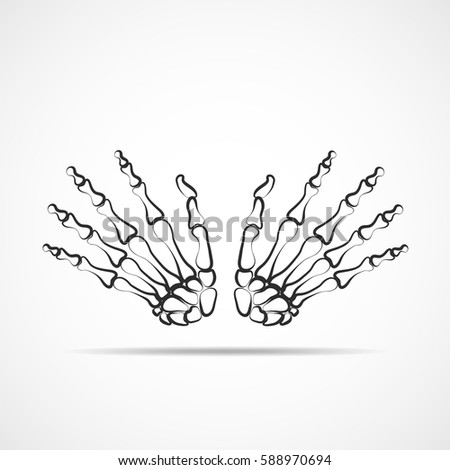 Bones of both hands on light background. Skeleton hand. Vector illustration. The skeleton human hand.