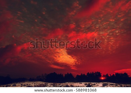 Fiery orange colorful sunset sky. Beautiful sky. winter forest at sunset.