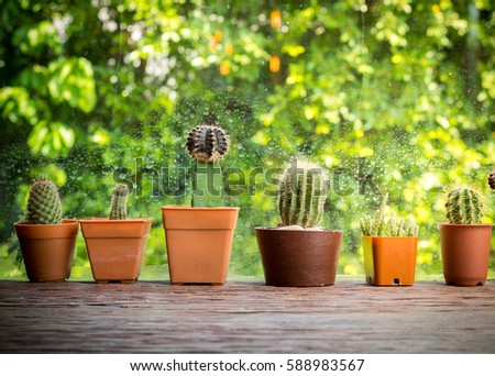 Pattern of cactus in the plastic pot on brown wood table with green background decorative look like a hipster