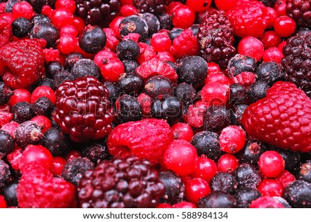 
Frozen mixed berries as background. Blueberries,raspberries black berries and currant texture pattern.
