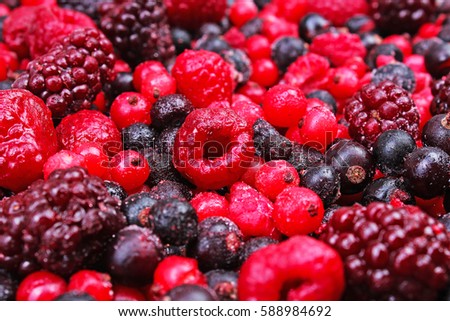 
Frozen mixed berries as background. Blueberries,raspberries black berries and currant texture pattern.
