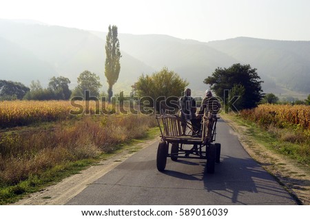 Bulgaria, couple on horse cart between corn fields in Rila valley Royalty-Free Stock Photo #589016039
