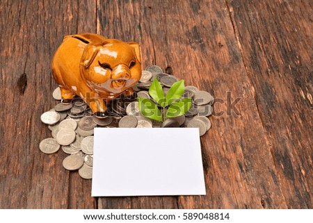 Piggy and stack coins and plant for save money and financial, tax season 