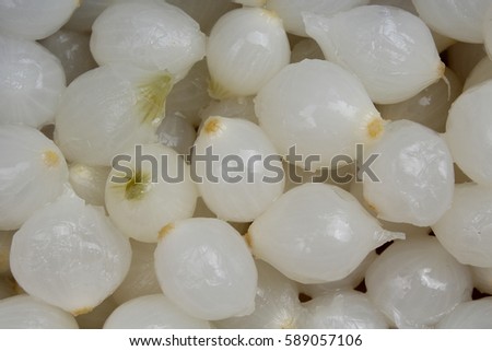 White shallots texture. Shallot onion pattern.
