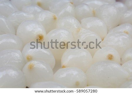 White shallots texture. Shallot onion pattern.
