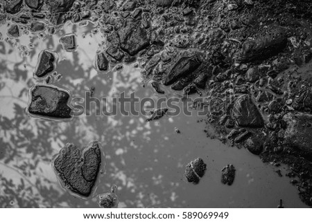 Black and white picture of a puddle.