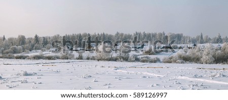 Winter panorama of settlement with dense forest behind
