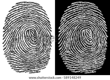 Brush lines based fingerprint illustration, in two versions