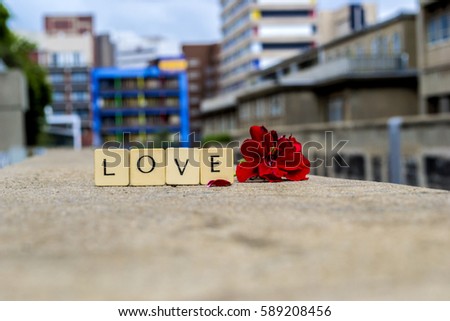Wooden square letters spelling the word "Love" outside next to red flowers on the concrete floor in the sunlight with colourful buildings in background