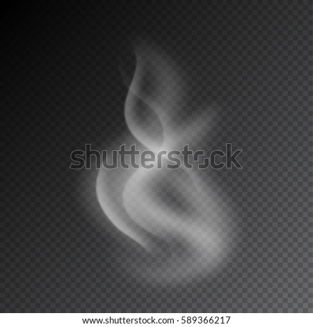 Smoke vector illustration on transparent background. Realistic smoke isolated. Vector smoke or vapor from electronic cigarettes