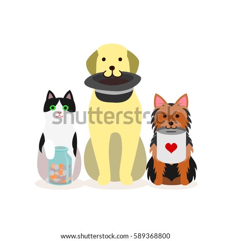 Small group of dogs and cat with donation box
