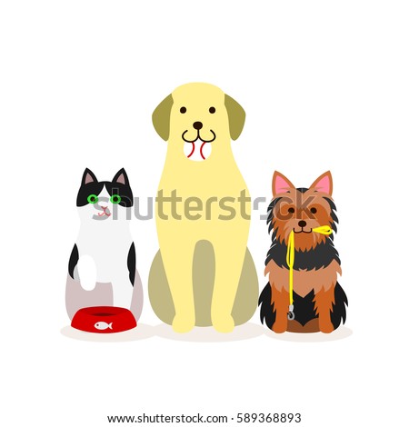 Small group of dogs and cat who needs services