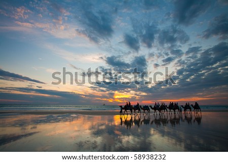 camels on cable beach Royalty-Free Stock Photo #58938232