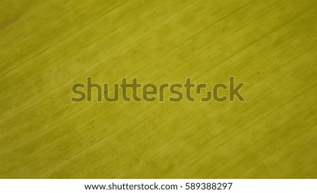 Light yellow, leaves, texture, background