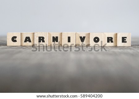 CARNIVORE word made with building blocks