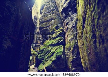 Fantastic view of the green canyon Siberia. Teplice-Adrspach Rock Town. Czech Republic. Artistic picture. Beauty world.