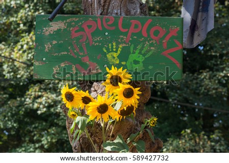 Green wood board and copy space with colorful bright yellow sunflower Helianthus, background deliberate motion blur.