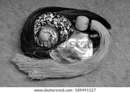 A black and white picture of a pair of intertwined iridescent shells framed by skeins of contrasting silk threads, lying on a background of a grey quartz stone tile. 