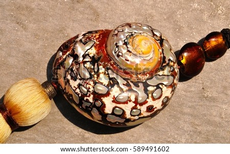 An iridescent nautilus shell with an intricate pattern of colours within the brown to mother of pearl spectrum, on a background of a grey quartz stone tile. 