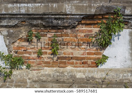 Old weathered brick wall fragment
