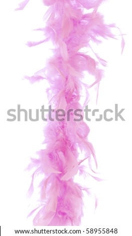 pink feather boa isolated on white background Royalty-Free Stock Photo #58955848