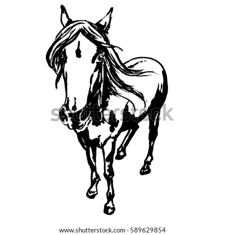 Cute horse portrait, ink painted illustration of beautiful purebred horse with silky mane, flowing with the wind, top view in perspective. vector illustration for horse races, hippodrome badges 