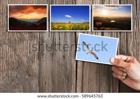 Hand holding photos on vintage grunge wooden background