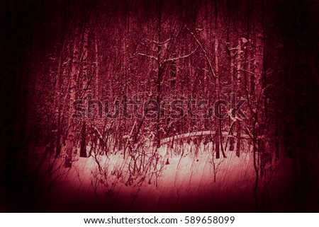 Winter in the forest. Fantasy art processing of photos with black frame for a collage. Toned.