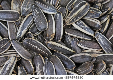 Sunflower seeds. Sunflower seed texture as background. Black and white roasted organic seeds. Food photography in studio.