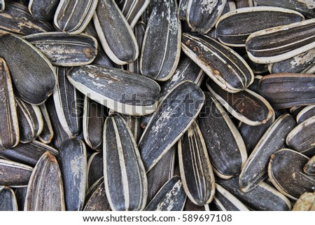Sunflower seeds. Sunflower seed texture as background. Black and white roasted organic seeds. Food photography in studio.