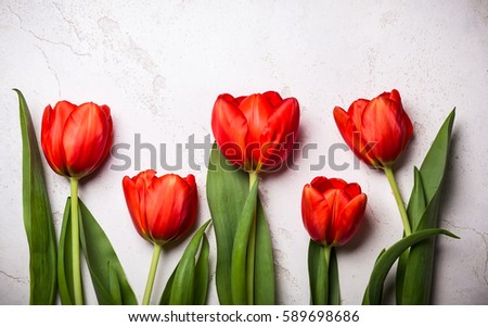 Red tulips on vintage background. Flat lay
