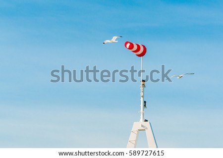 Horizontally flying windsock wind vane with blue sky in the background. Big birds seagulls flying around.