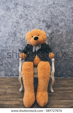 Teddy Bear toy alone 